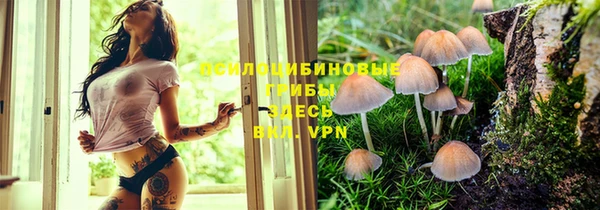соль ск Волоколамск