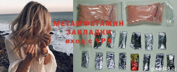 ПСИЛОЦИБИНОВЫЕ ГРИБЫ Вяземский