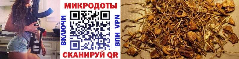 закладки  сайты даркнета формула  Псилоцибиновые грибы Magic Shrooms  Дальнереченск 
